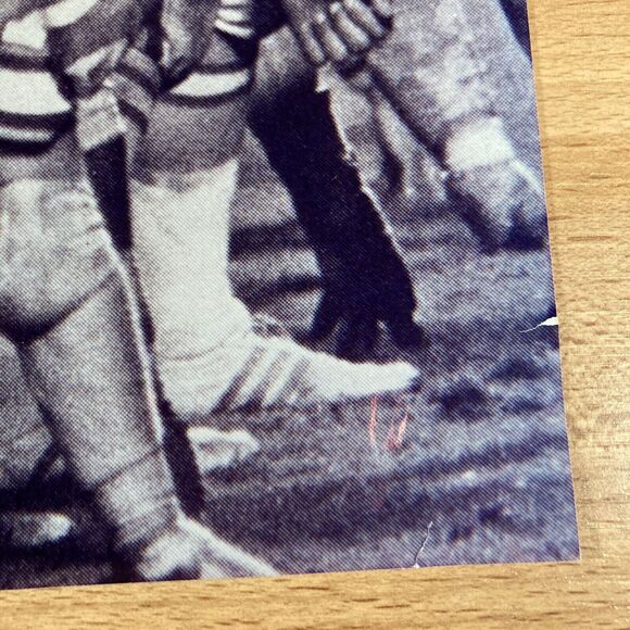 Steve Spurrier • Autographed 8x10 Photo • Buccaneers 1976 Season • Football - Picture 3 of 3